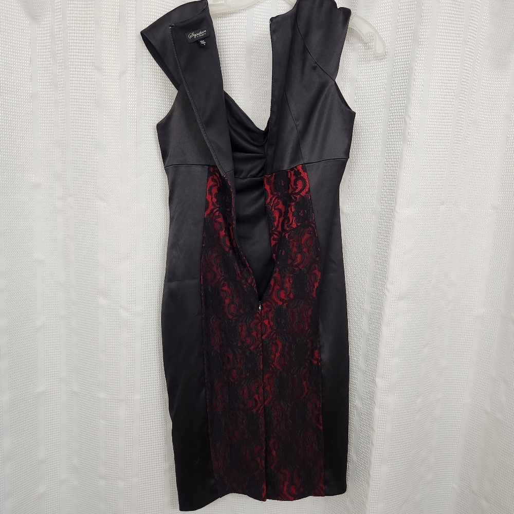 Signature by Sangria Body Hugging Cocktail Dress with Lace Panels, Size: 8 - Picture 5 of 12